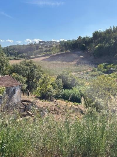 Image No.7-3 Bed Property for sale