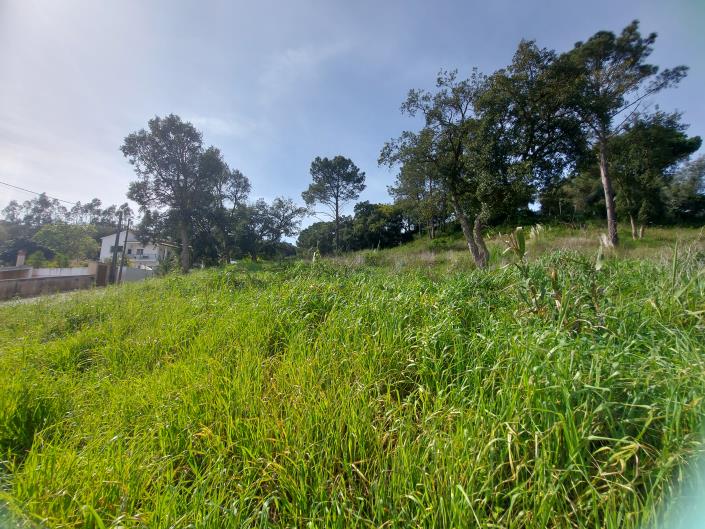 Image No.1-Plot for sale