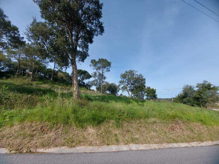 Image No.3-Plot for sale