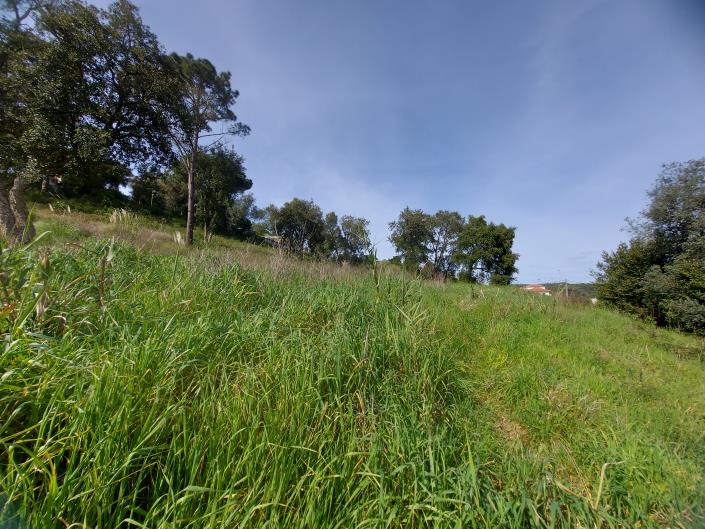 Image No.2-Land for sale