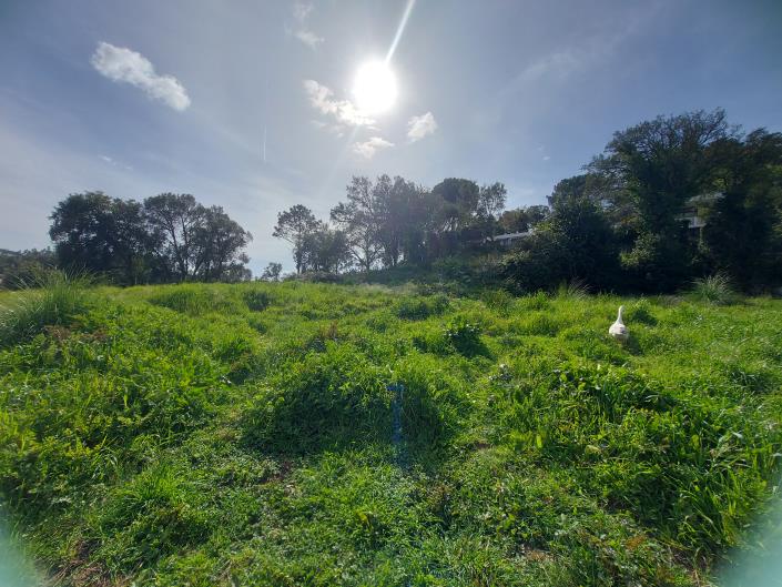 Image No.5-Land for sale