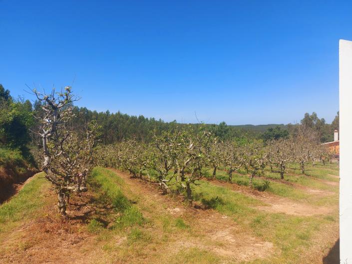 Image No.2-Land for sale