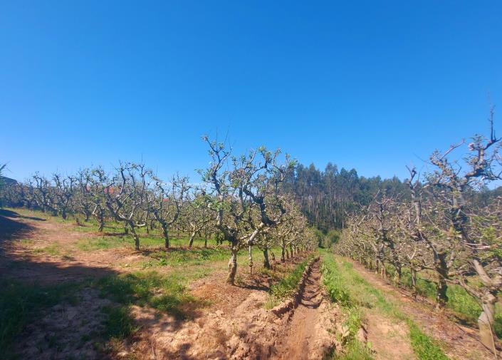 Image No.4-Land for sale