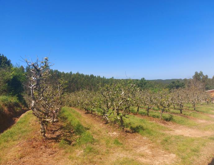 Image No.3-Land for sale