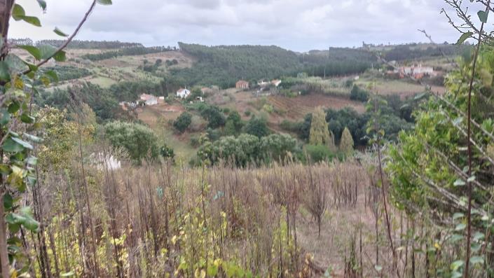 Image No.16-Country House for sale