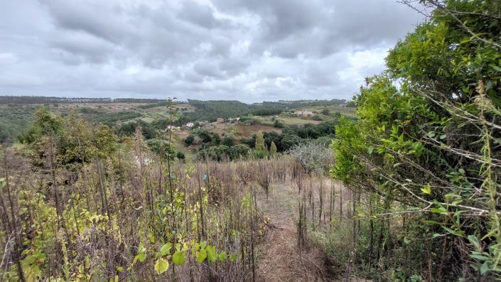 Image No.15-Country House for sale