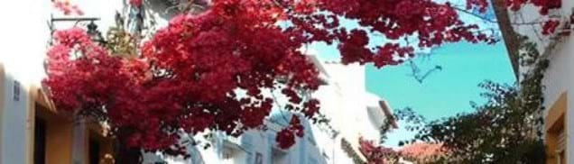 Image No.9-Apartment for sale