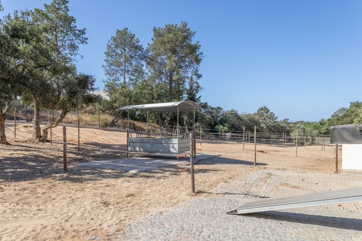 Image No.53-3 Bed Villa for sale