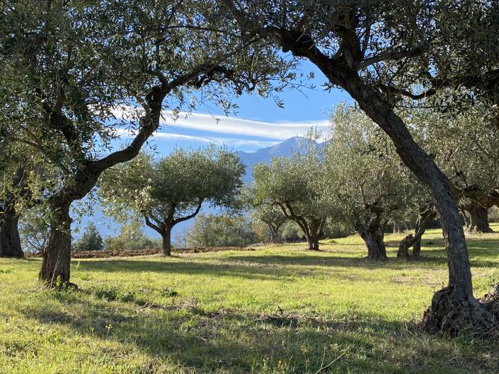 Image No.58-3 Bed House/Villa for sale