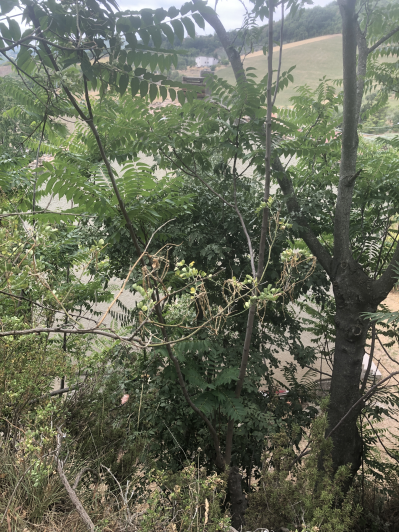 Image No.38-Country House for sale