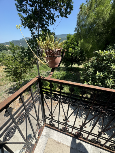 Image No.32-4 Bed House for sale