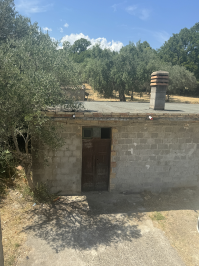 Image No.53-4 Bed House for sale