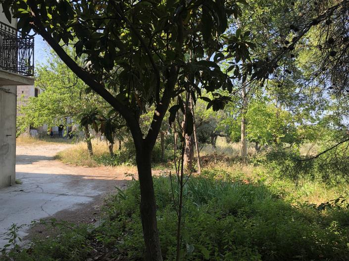 Image No.30-4 Bed House for sale