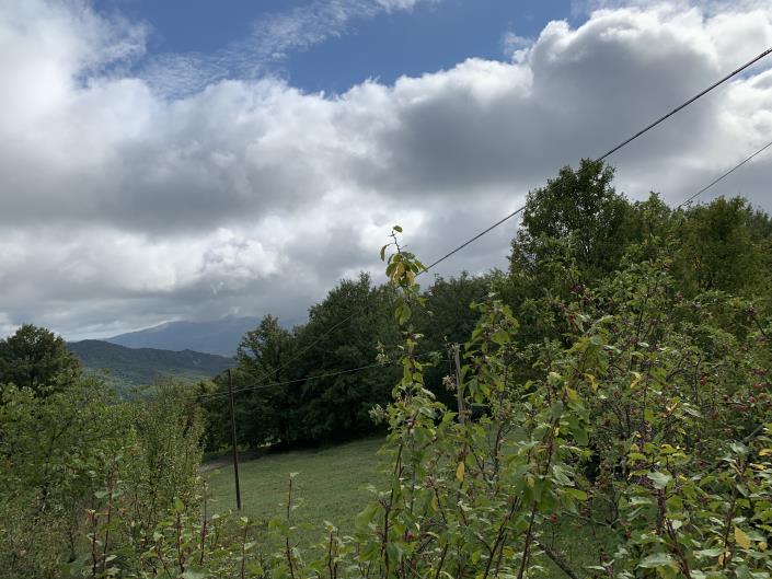 Image No.35-4 Bed Village House for sale