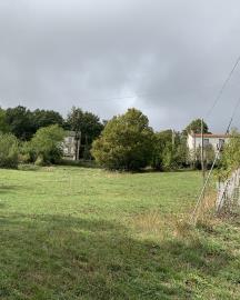 IMG_1220