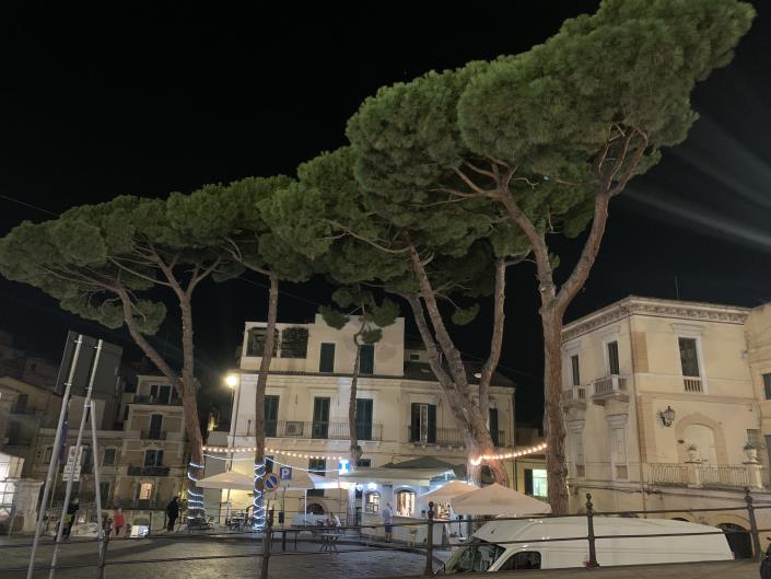 Image No.48-3 Bed Townhouse for sale