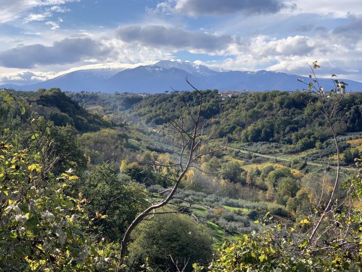 Image No.45-3 Bed Townhouse for sale