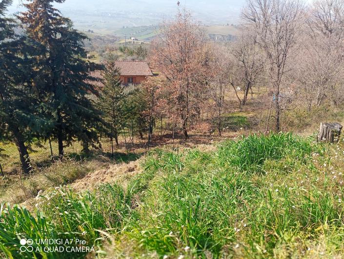 Image No.23-Villa / Detached for sale