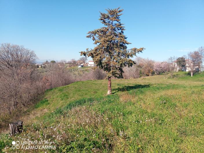 Image No.25-Villa / Detached for sale