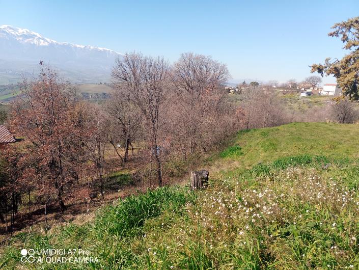 Image No.24-Villa / Detached for sale