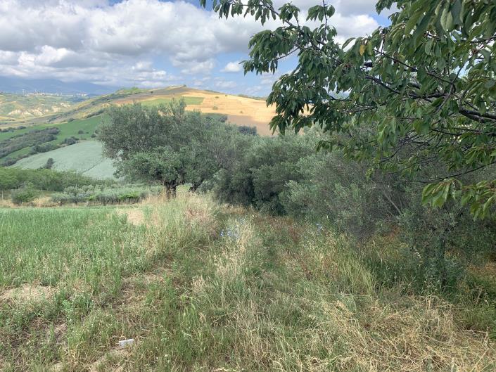 Image No.4-Land for sale