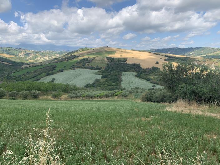 Image No.5-Land for sale