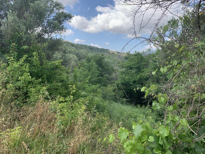 Image No.8-Land for sale