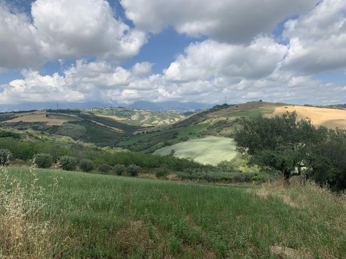 Image No.10-Land for sale