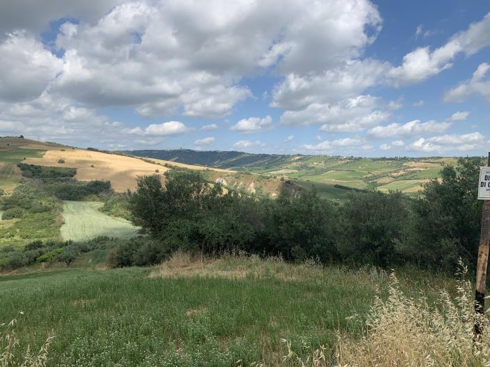 Image No.12-Land for sale