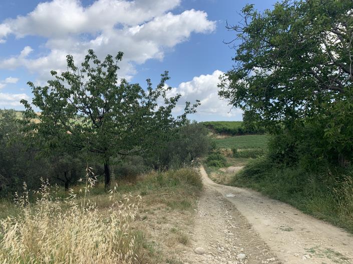 Image No.13-Land for sale