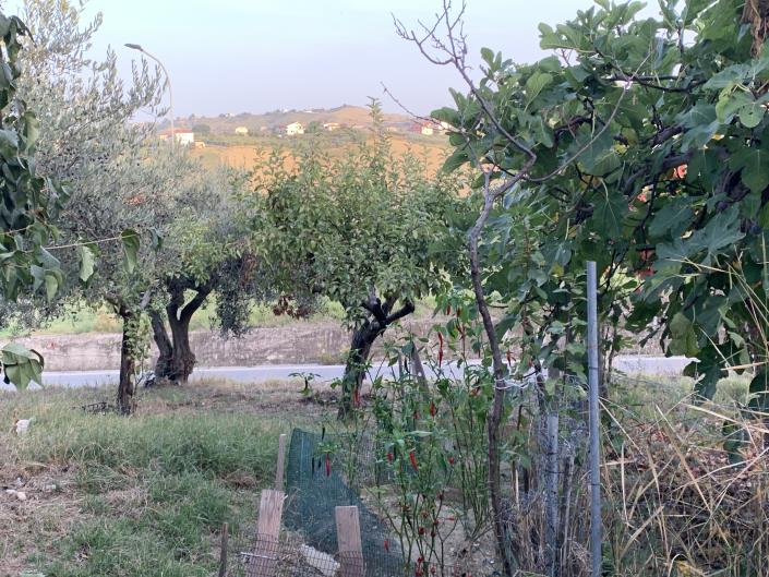 Image No.20-Plot for sale