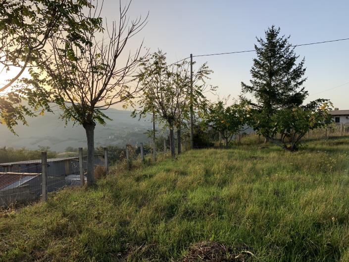 Image No.24-Plot for sale