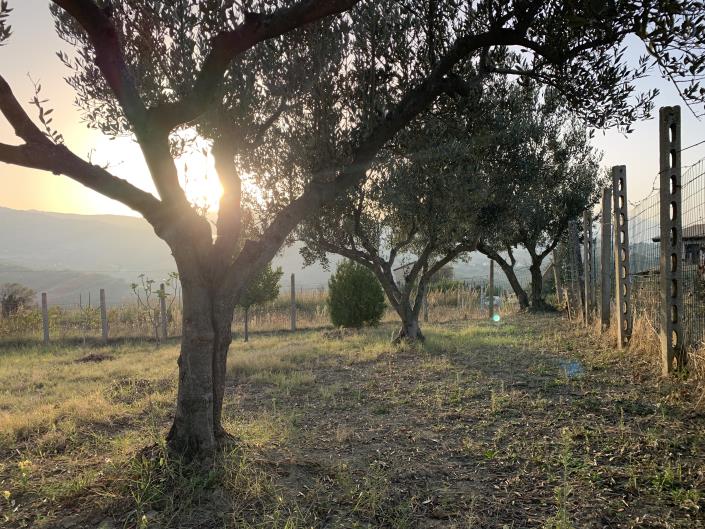 Image No.31-Plot for sale