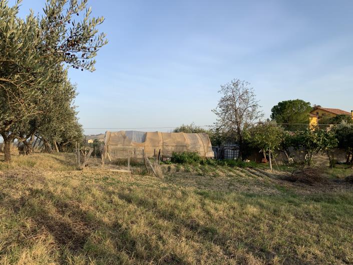 Image No.32-Plot for sale