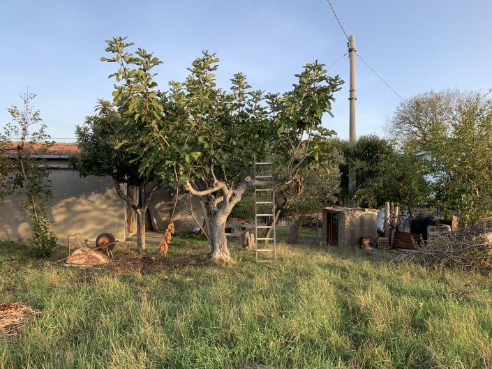 Image No.38-Plot for sale