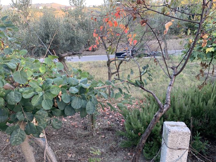 Image No.41-Plot for sale