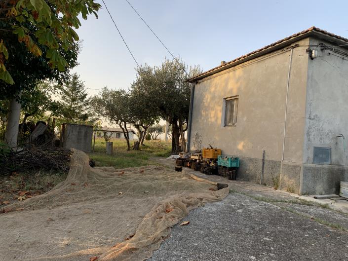 Image No.44-Plot for sale