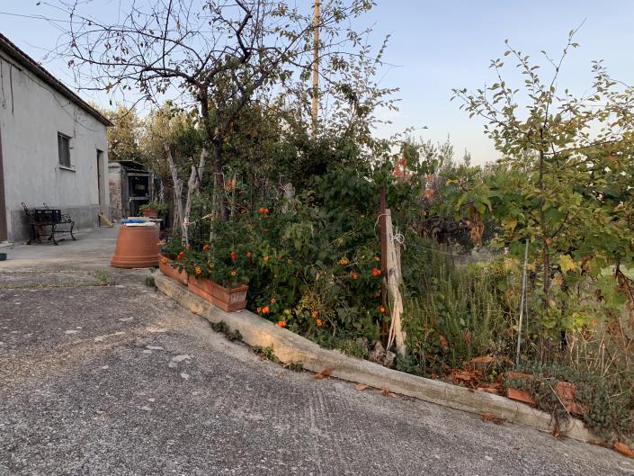 Image No.45-Plot for sale