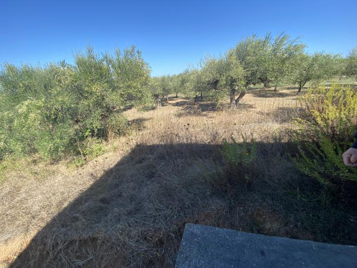 Image No.27-Villa / Detached for sale