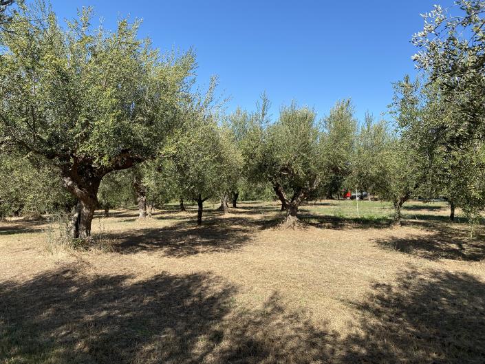 Image No.33-Villa / Detached for sale