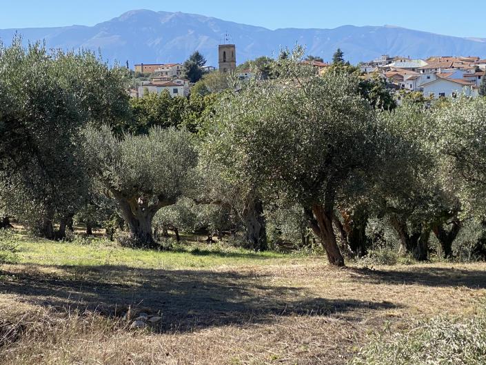 Image No.3-Villa / Detached for sale