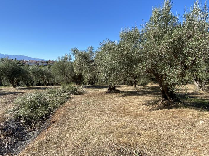 Image No.36-Villa / Detached for sale