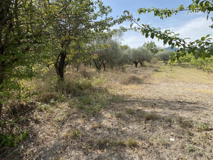 Image No.50-Farmhouse for sale