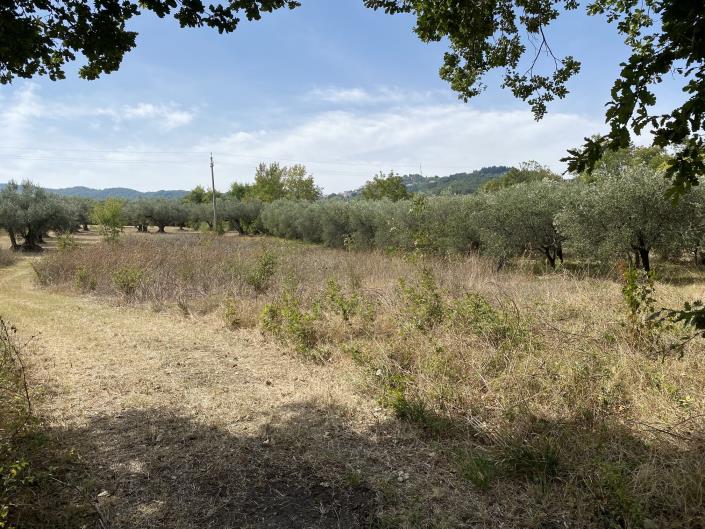 Image No.1-Plot for sale