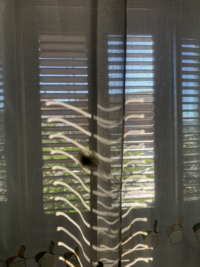 Image No.8-2 Bed House for sale