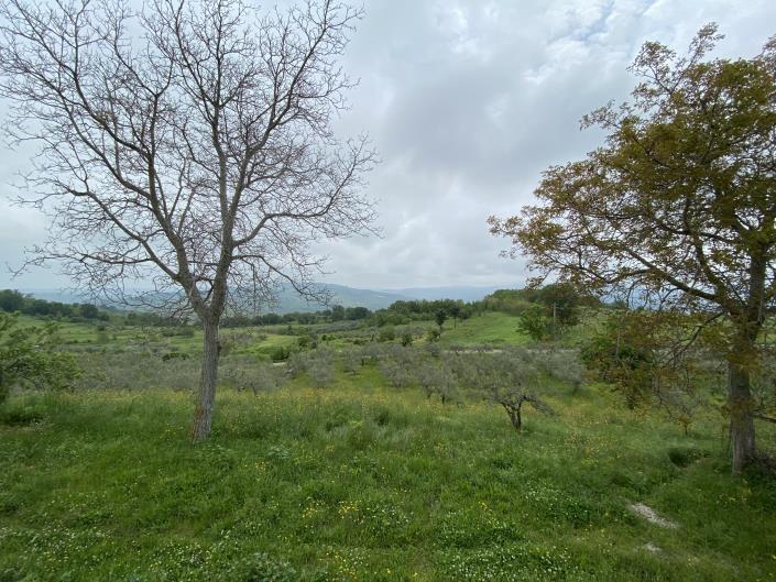 Image No.32-3 Bed House for sale