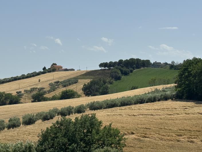 Image No.57-3 Bed House for sale