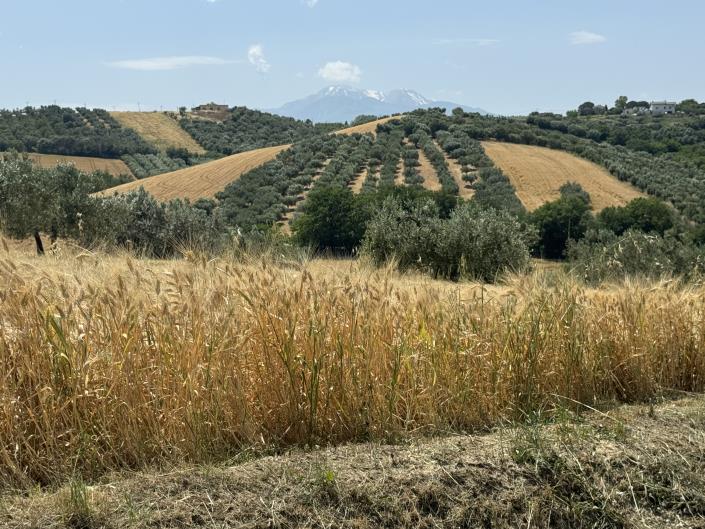 Image No.60-3 Bed House for sale