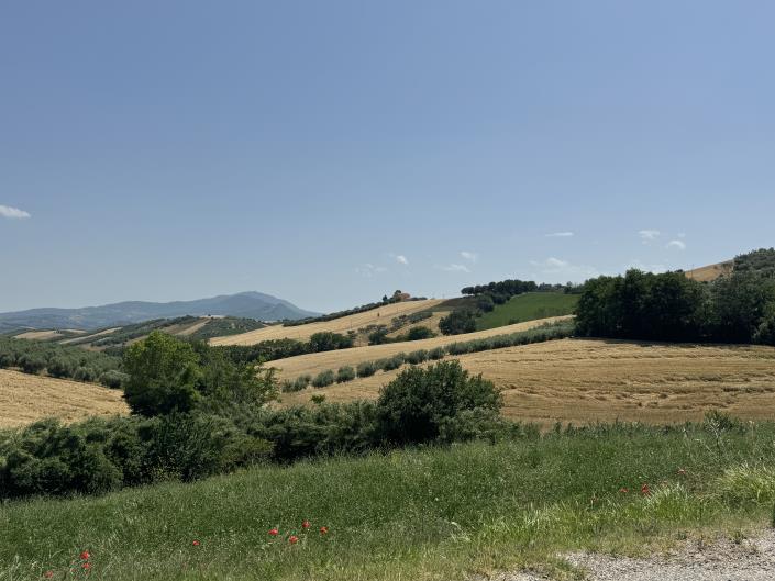 Image No.55-3 Bed House for sale