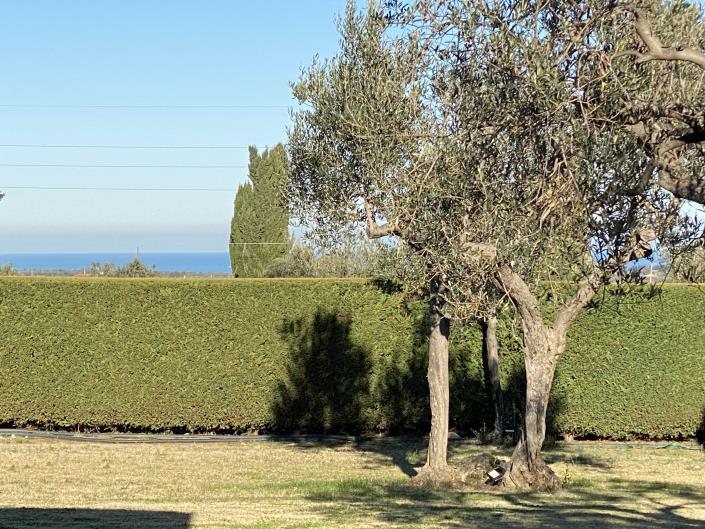 Image No.54-2 Bed Villa / Detached for sale